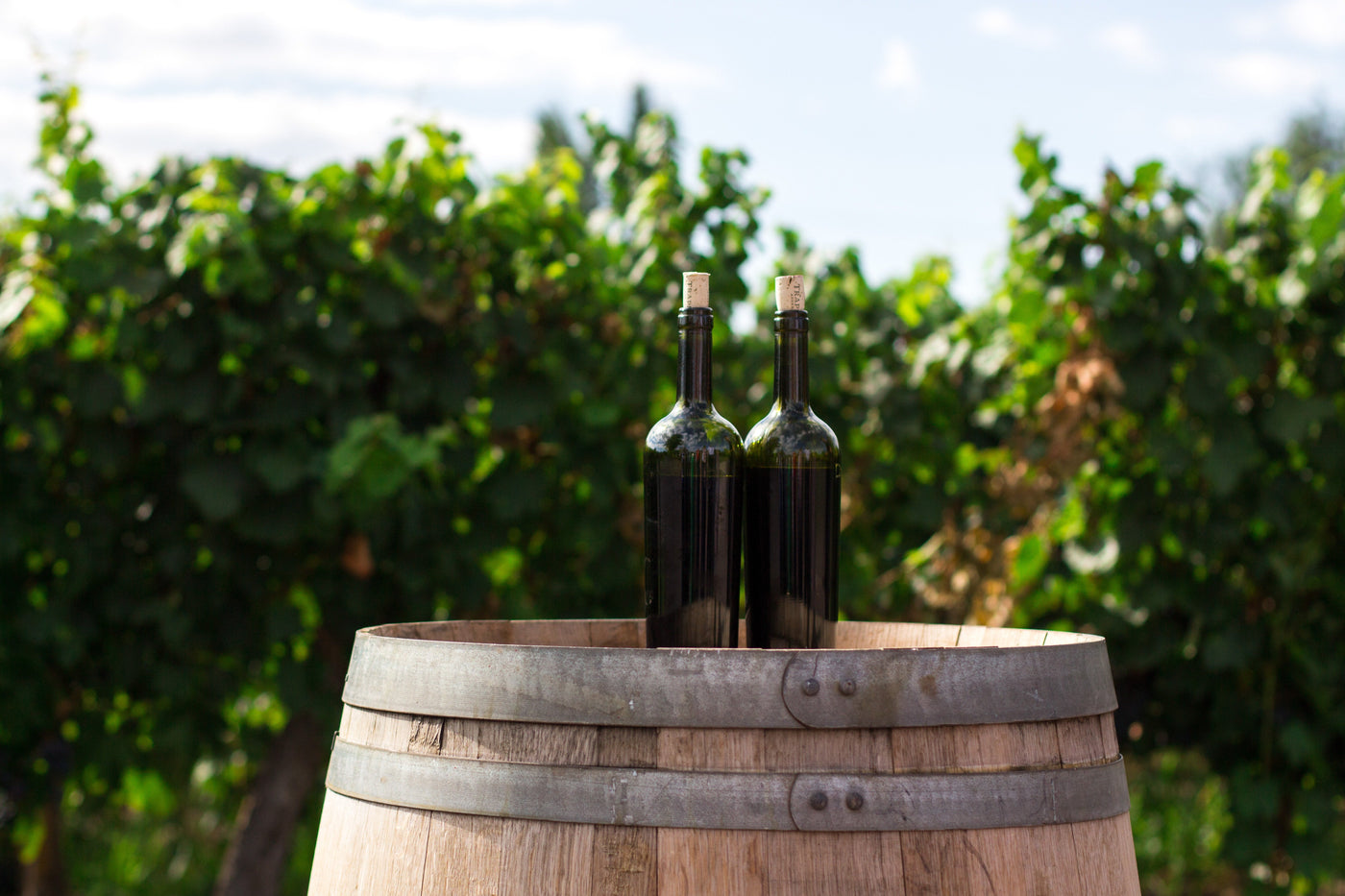 DrinkWell Guide To Keto Wine